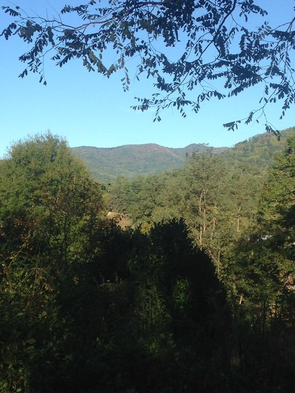 Serenity Views Bungalow - Close To City And Parkway! Villa Weaverville Buitenkant foto